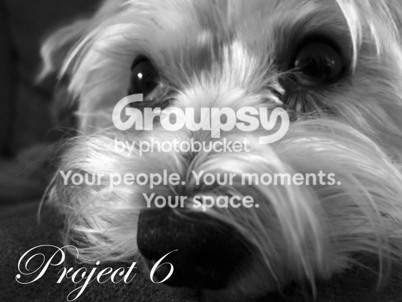 IMG_0062copy.jpg