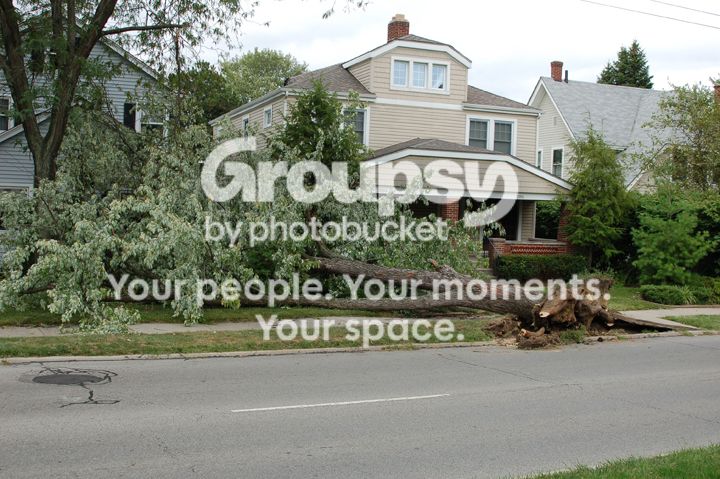 Oakwood007.jpg