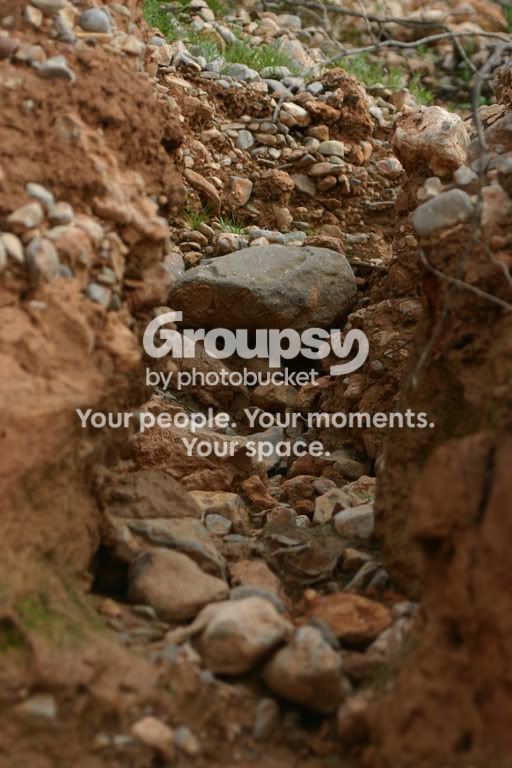 146_4673.jpg
