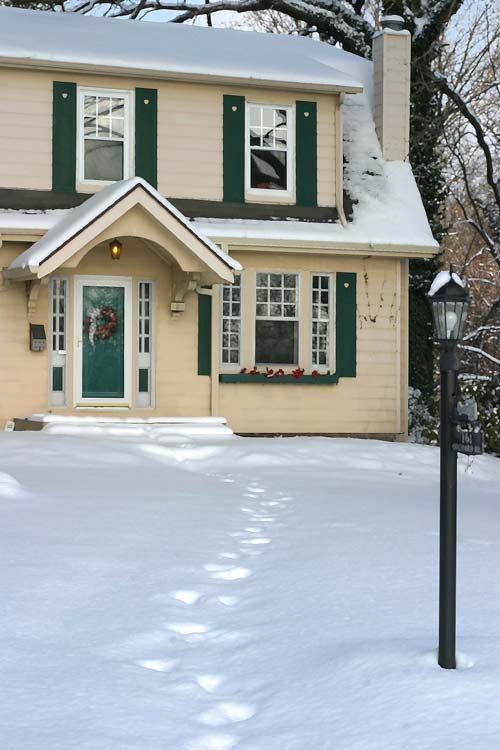 WinterHome.jpg