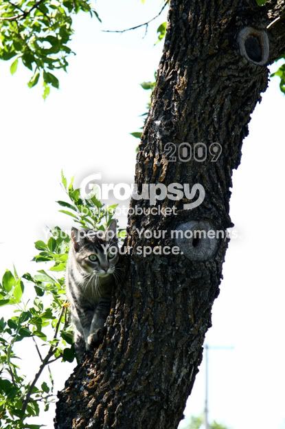 IMG_5727ccopy.jpg