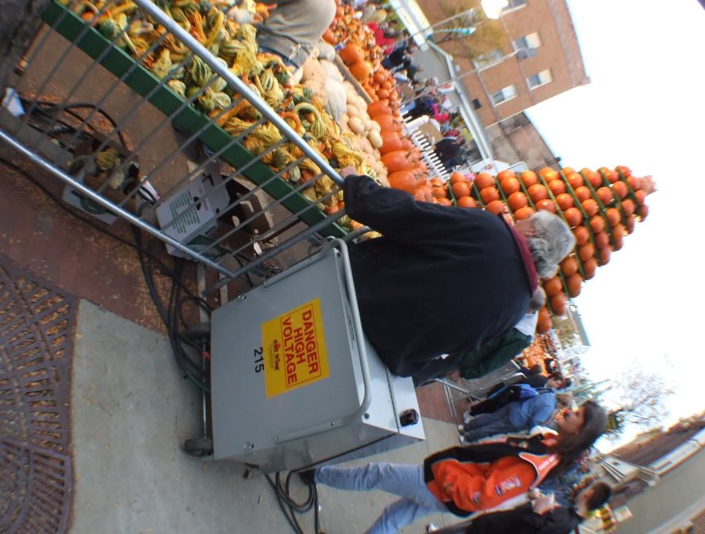 DSCF0284-1.jpg