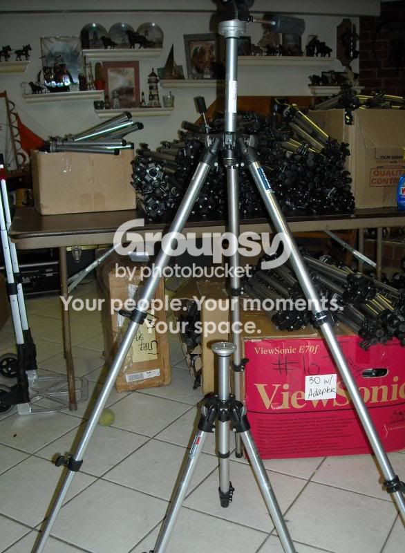 DSCN0510.jpg