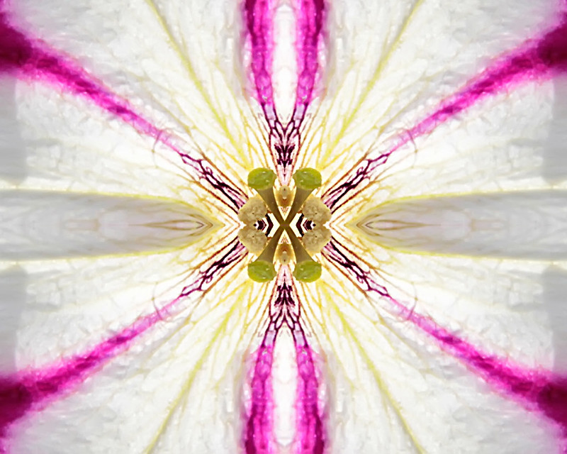 7923325184_44ae0ef959_c.jpg