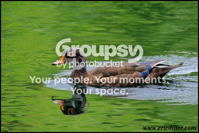 PIC_7319copy.jpg