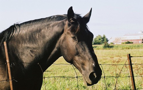 2019749236_d2f9c0c6e8.jpg