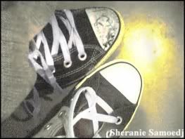 converse.jpg