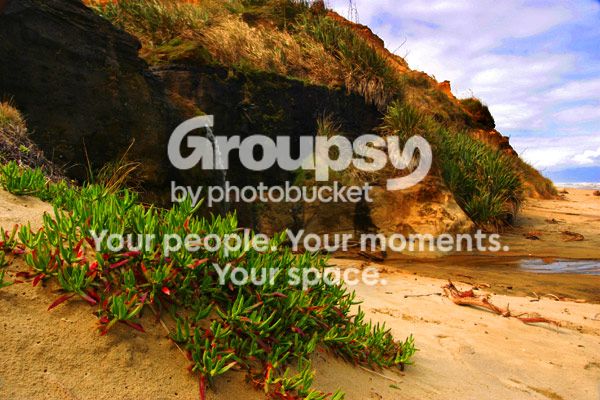 bayleys-beach-falls.jpg