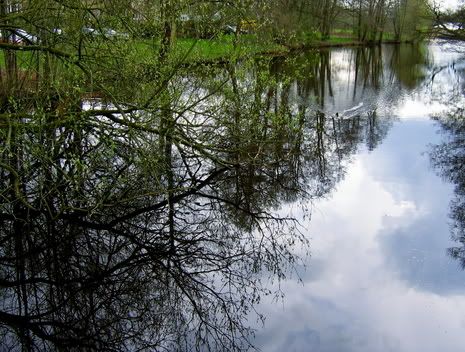Schlosspark2_Spiegelungen8.jpg