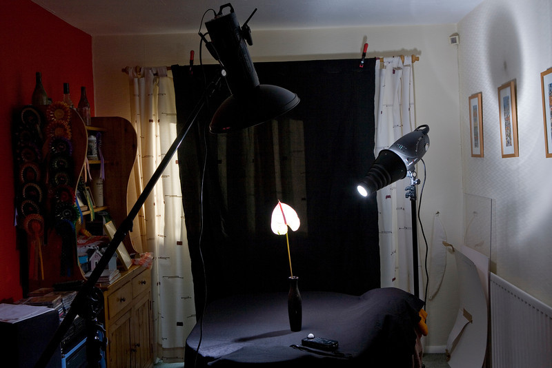 IMG6797setup-L.jpg
