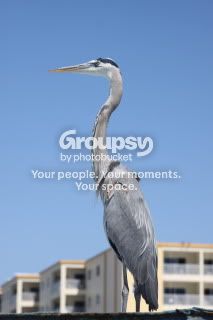 IMG_0537.jpg