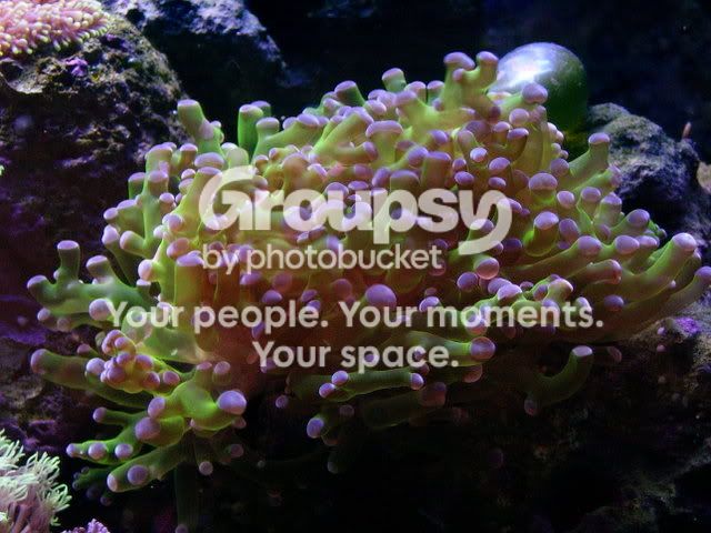 100_0906.jpg