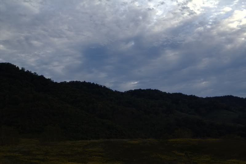 cedarfork2.jpg