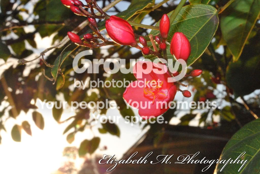 Picbylizzy0642.jpg