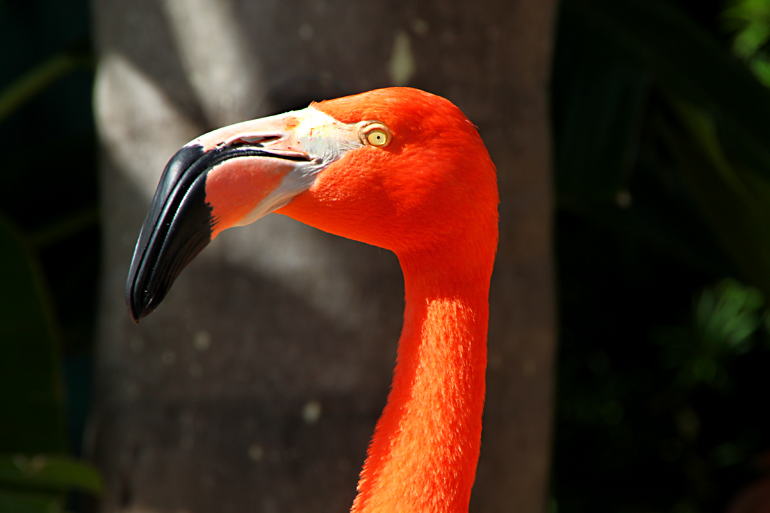 1160105121_GwPZb-O.jpg