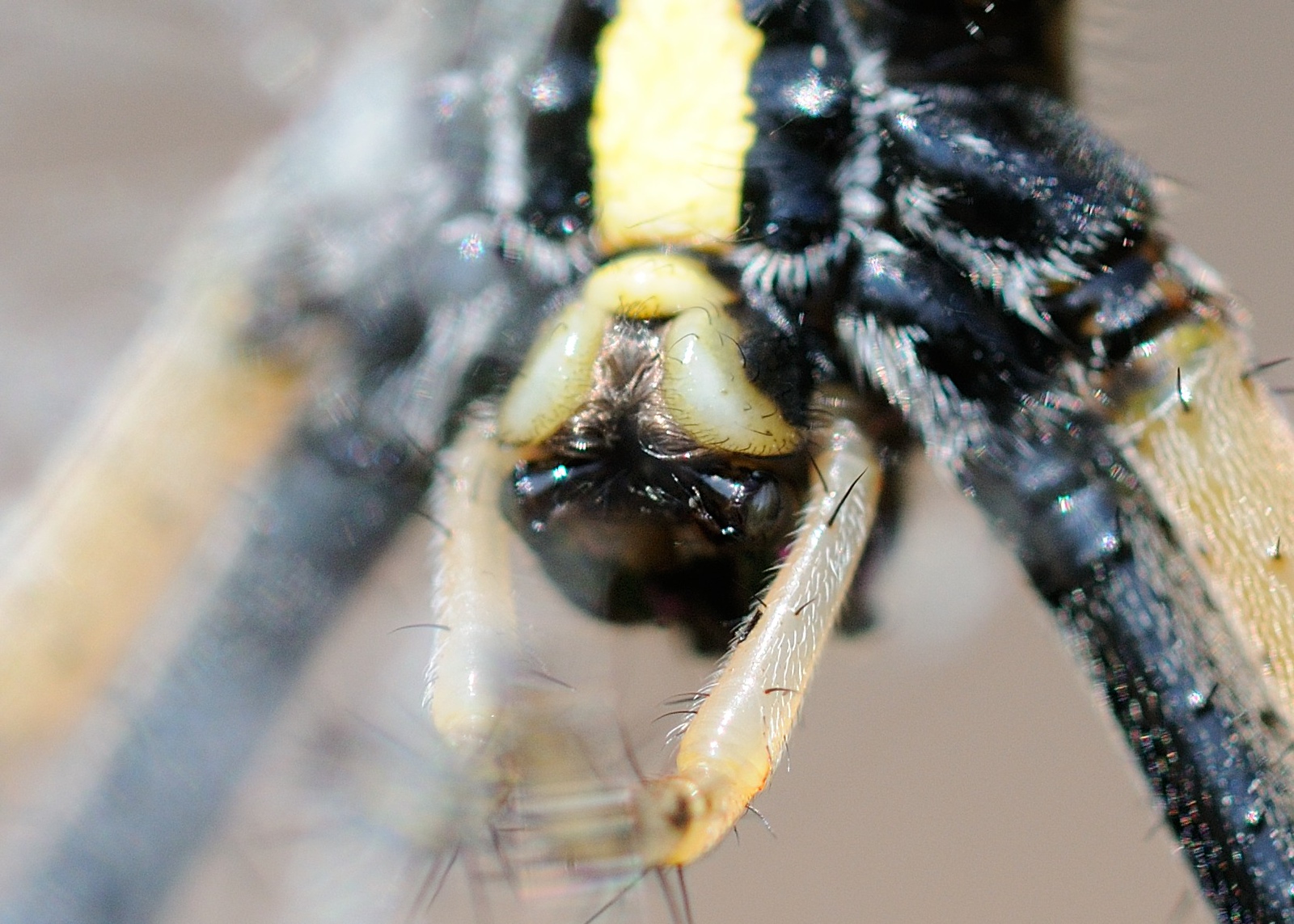 DSC_00034-X3.jpg