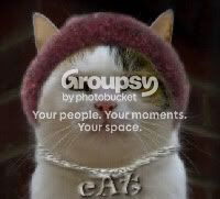 bling-pussy.jpg