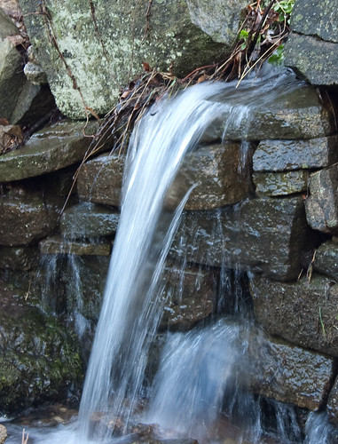 4172926860_d0c270f569.jpg