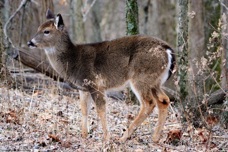 2014-02-15-02.jpg