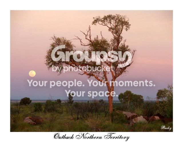 outbackmooncopySmall.jpg
