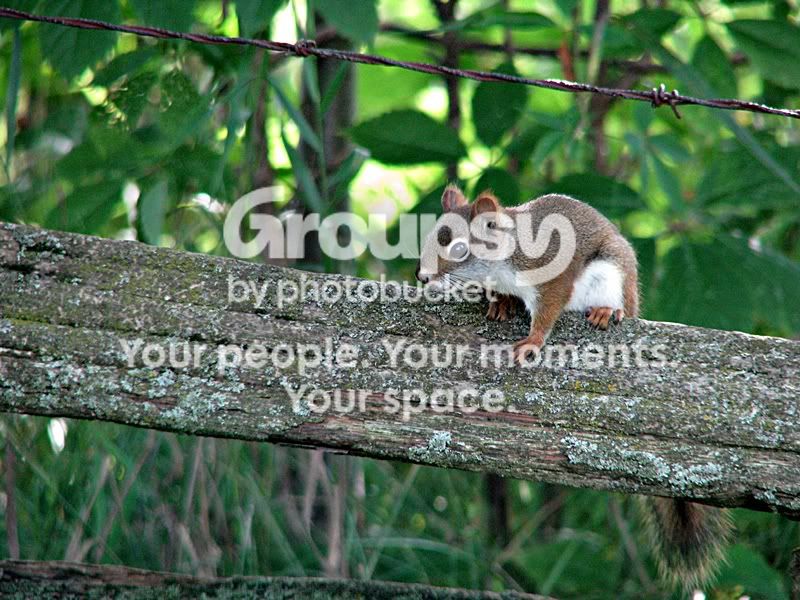 IMG_4069_1sm.jpg