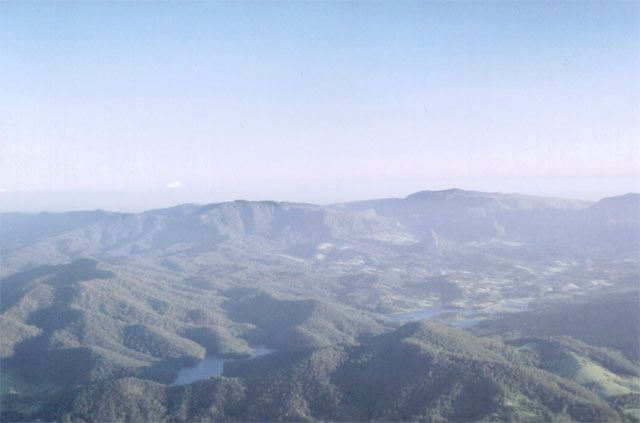 050.jpg
