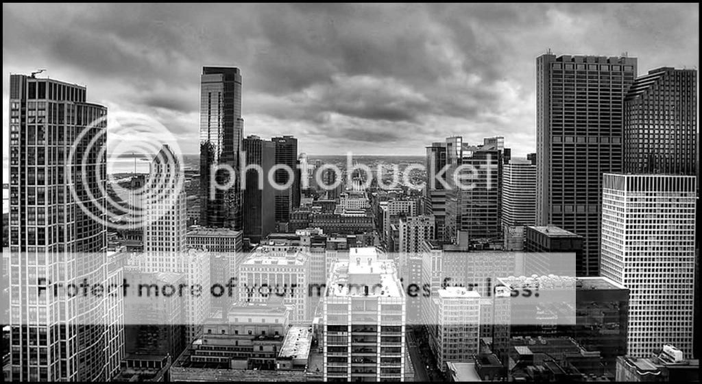 824Edit7569484_0cf2b25cc9_ccopy2.jpg