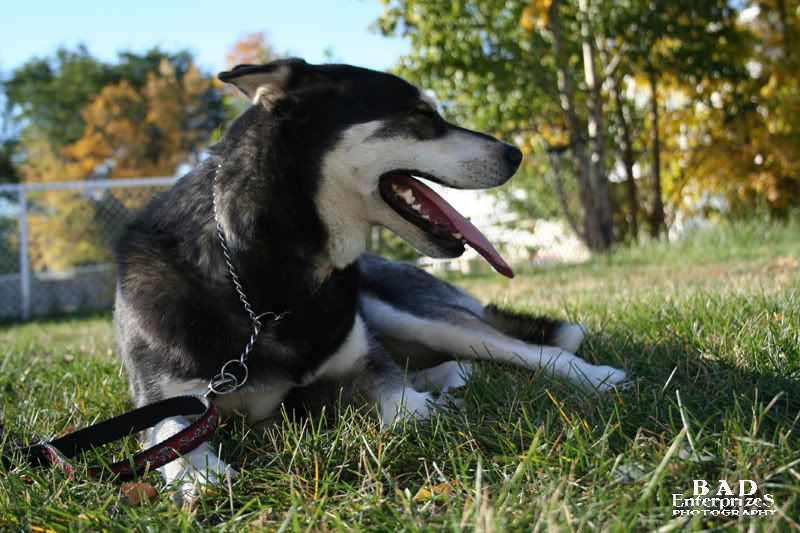 SmilingAutumn1.jpg