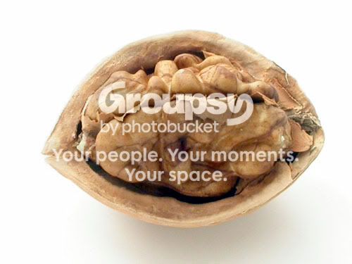 macrophotography-walnut.jpg