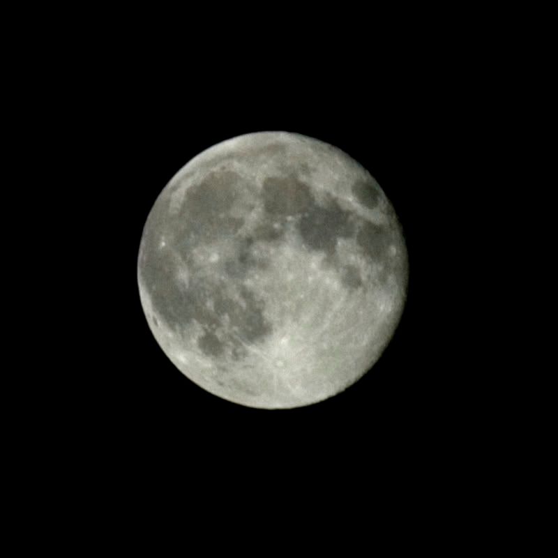 moon2.jpg