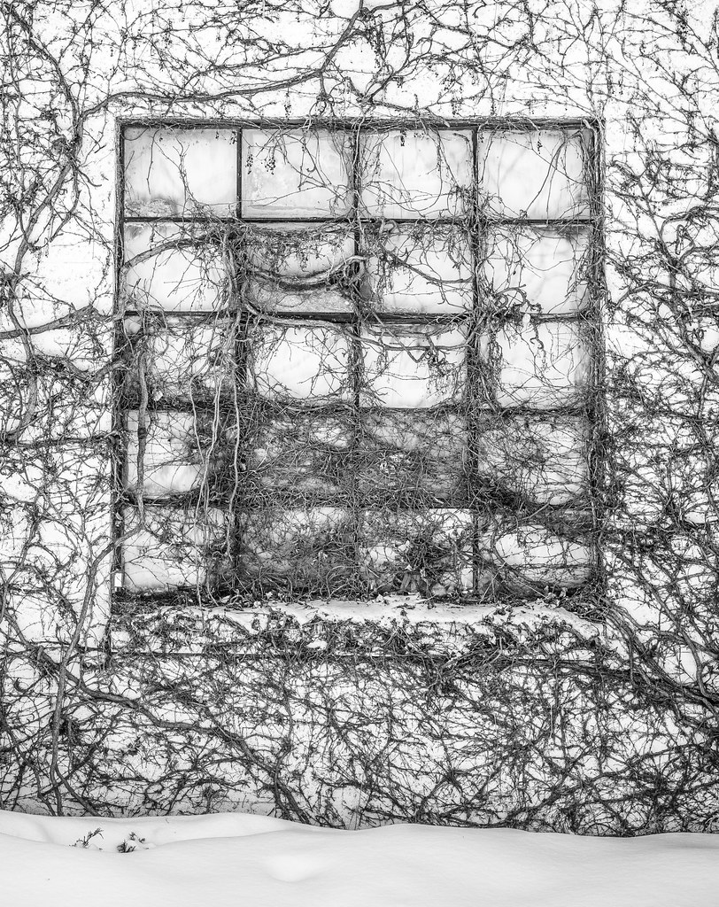 12984132813_140aeba650_b.jpg