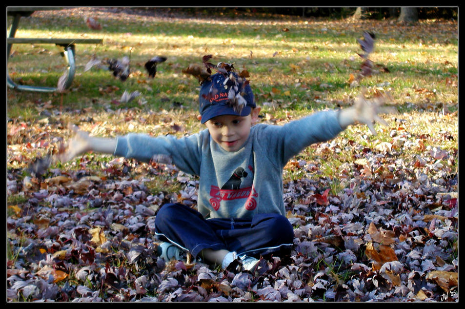 In_The_Leaves_by_4fit.jpg