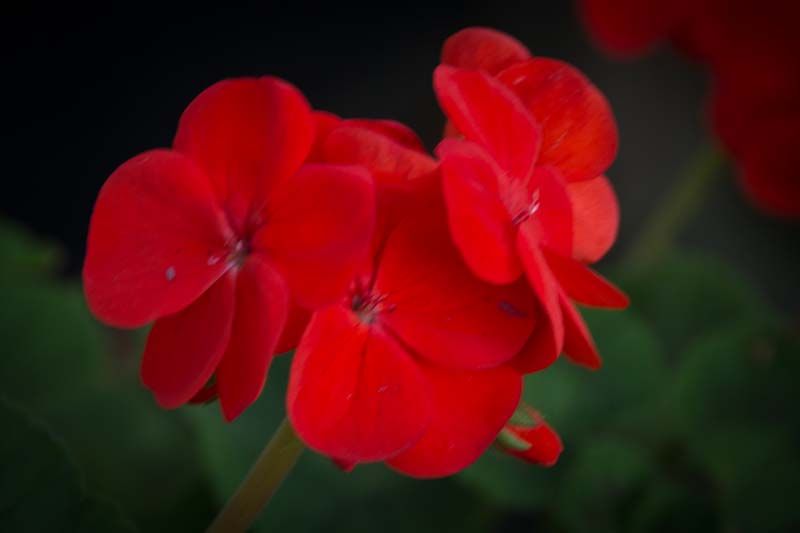20111119-_MG_0517.jpg