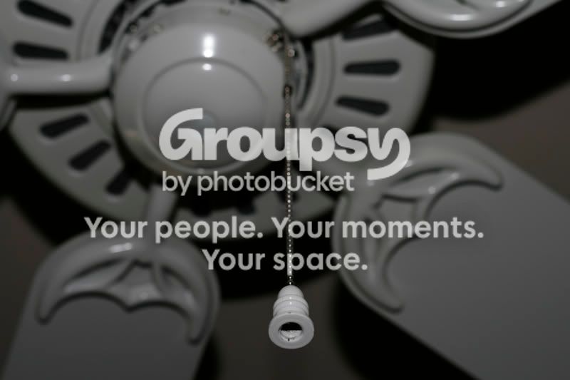 fan56200.jpg