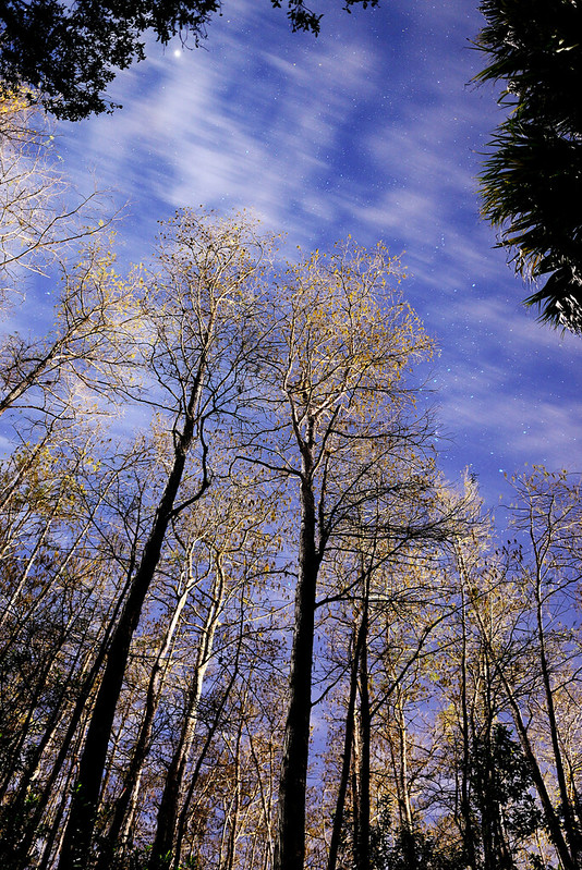 11999295394_d31c315c99_c.jpg