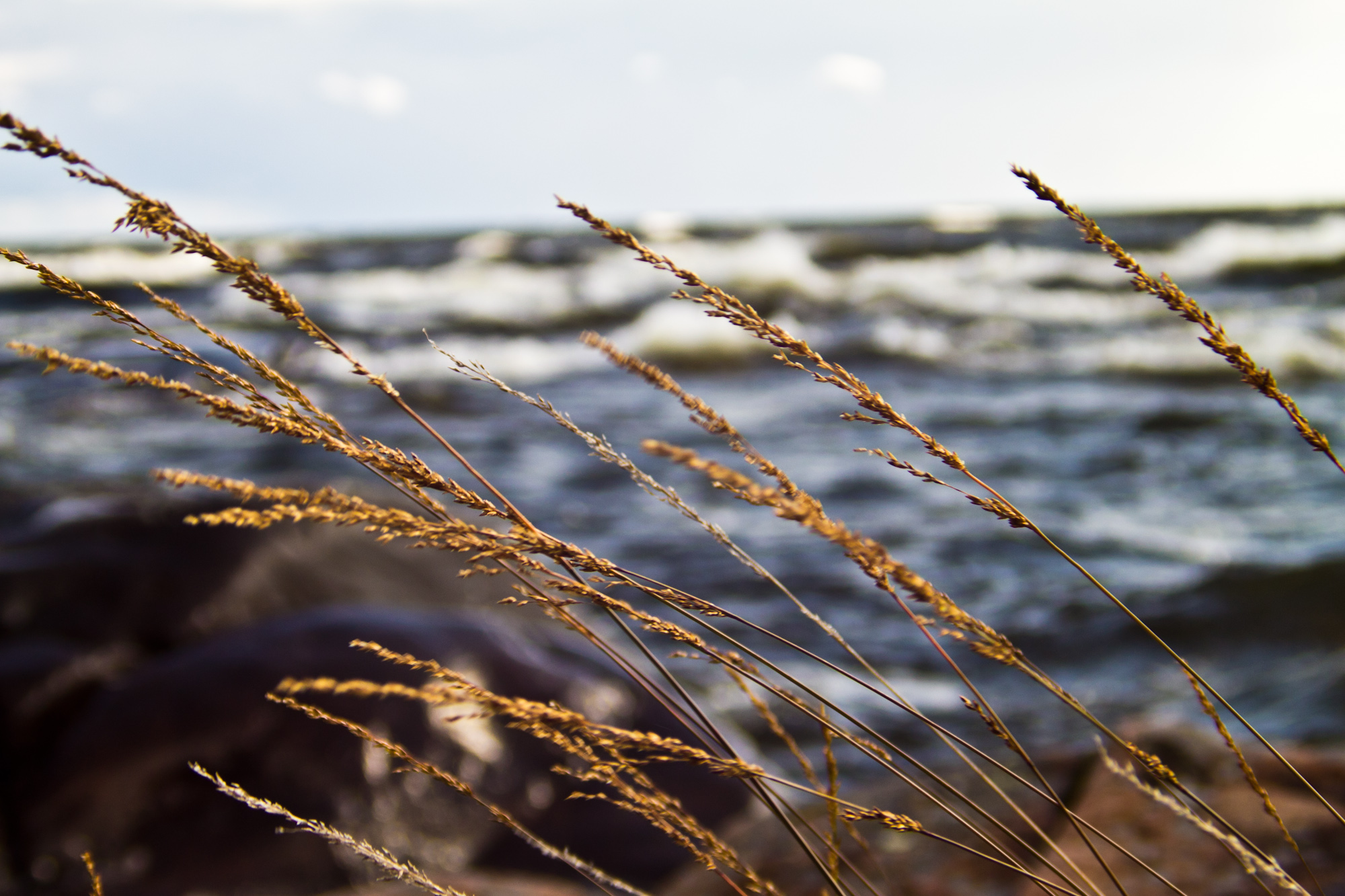 at_water__s_edge_by_pianoblack97-d484k73.jpg