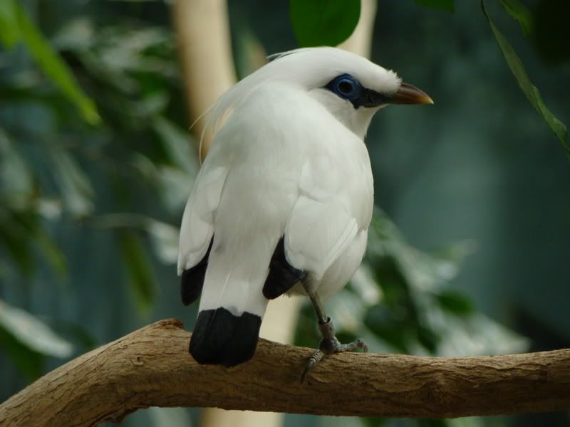 columbuszoo7-23-08125.jpg