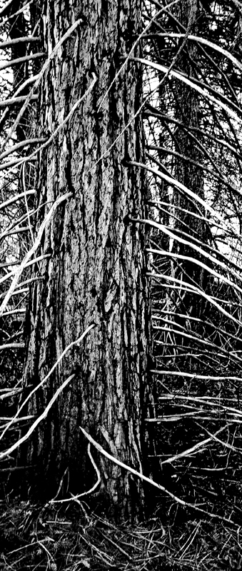 Oak%20Glen%208-L.jpg