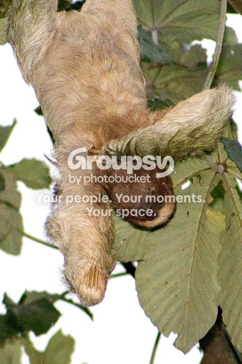 CR-099-web.jpg