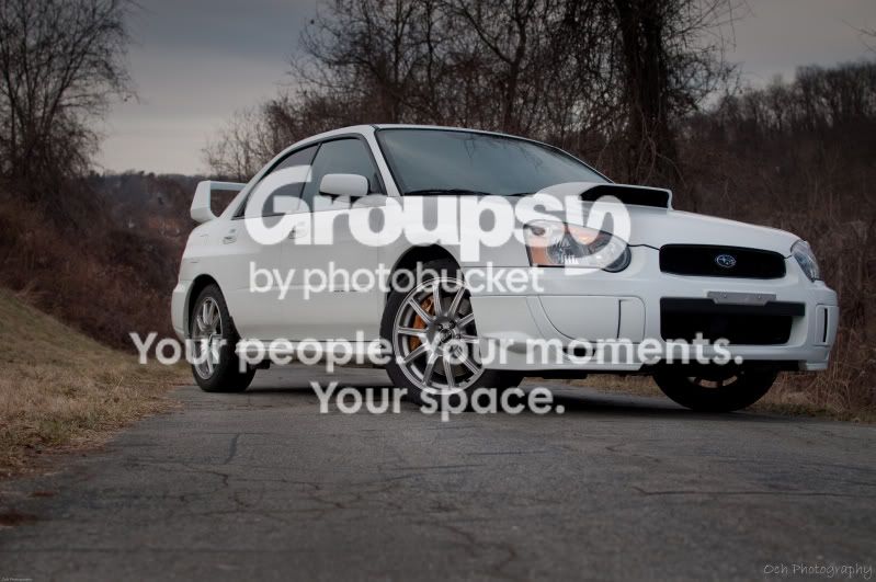 DSC_3131-1.jpg