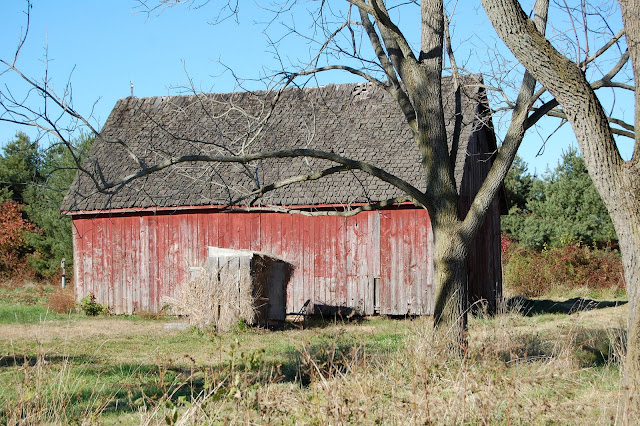 DSC_0202.JPG