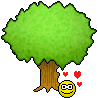 6.gif