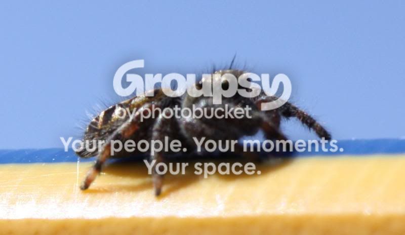 071cropped.jpg