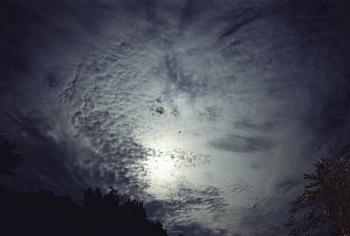 241705916_5c7e83452a.jpg