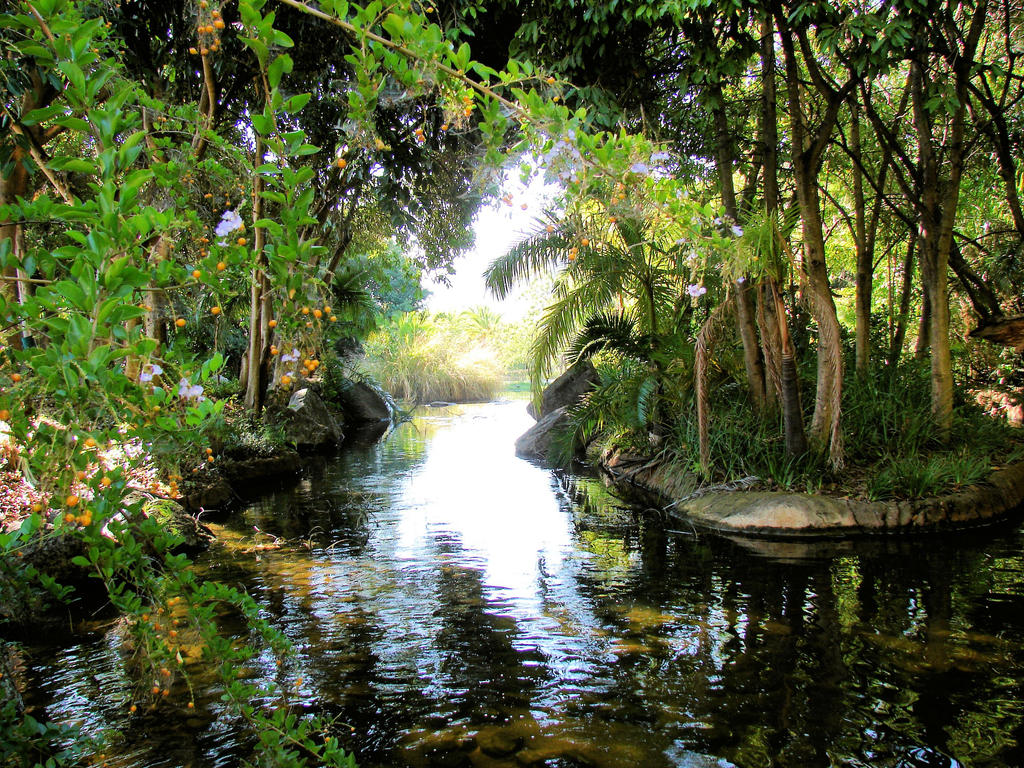 the_stream_by_photographtalk-d7xsw8l.jpg