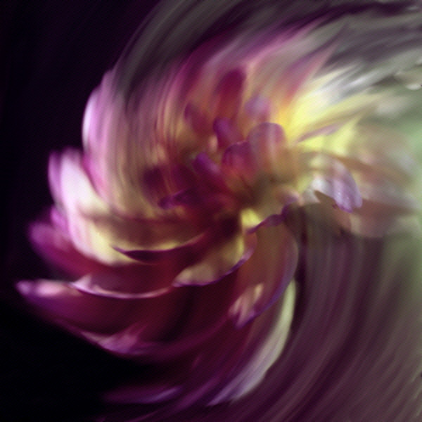 9051593567_0de4b20db9_z.jpg