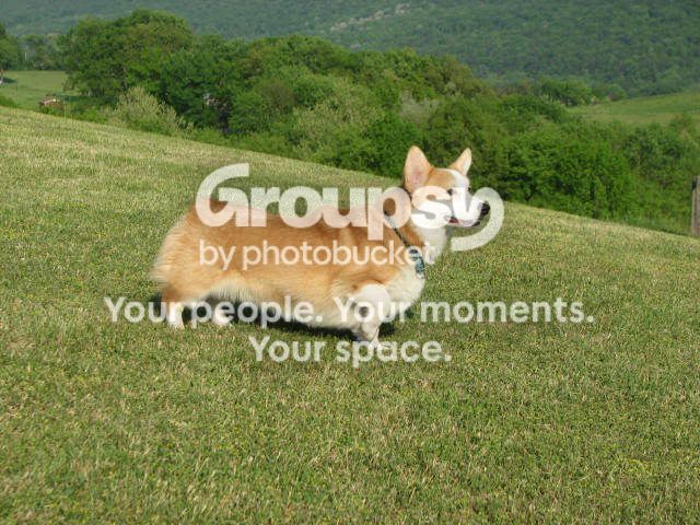 IMG_1435.jpg