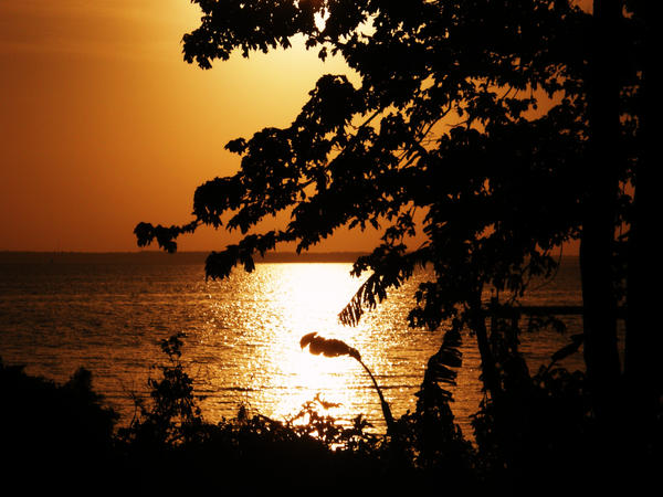 Sunrise_by_OB_LL426.jpg