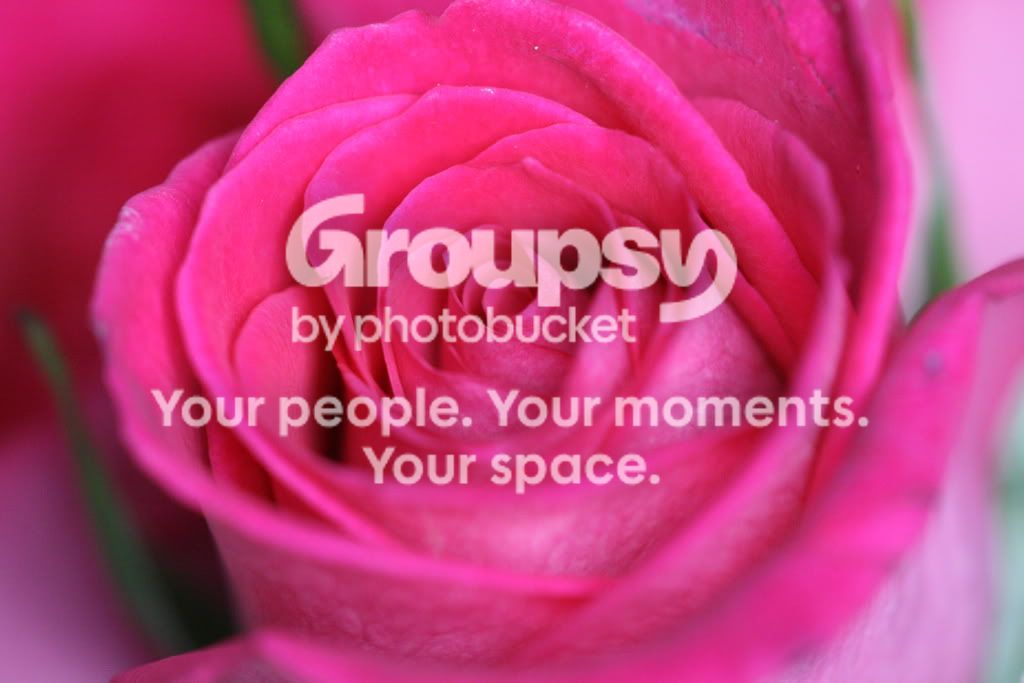 macro049.jpg