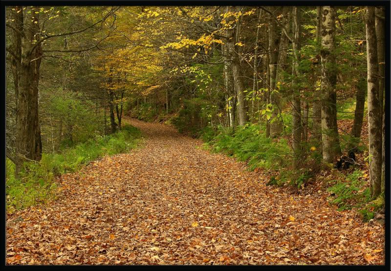 YesRd.jpg